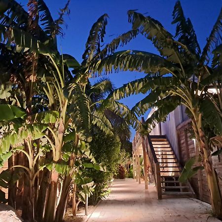 The Forest - Saint Martin 4 Etoiles كول دي ساك المظهر الخارجي الصورة