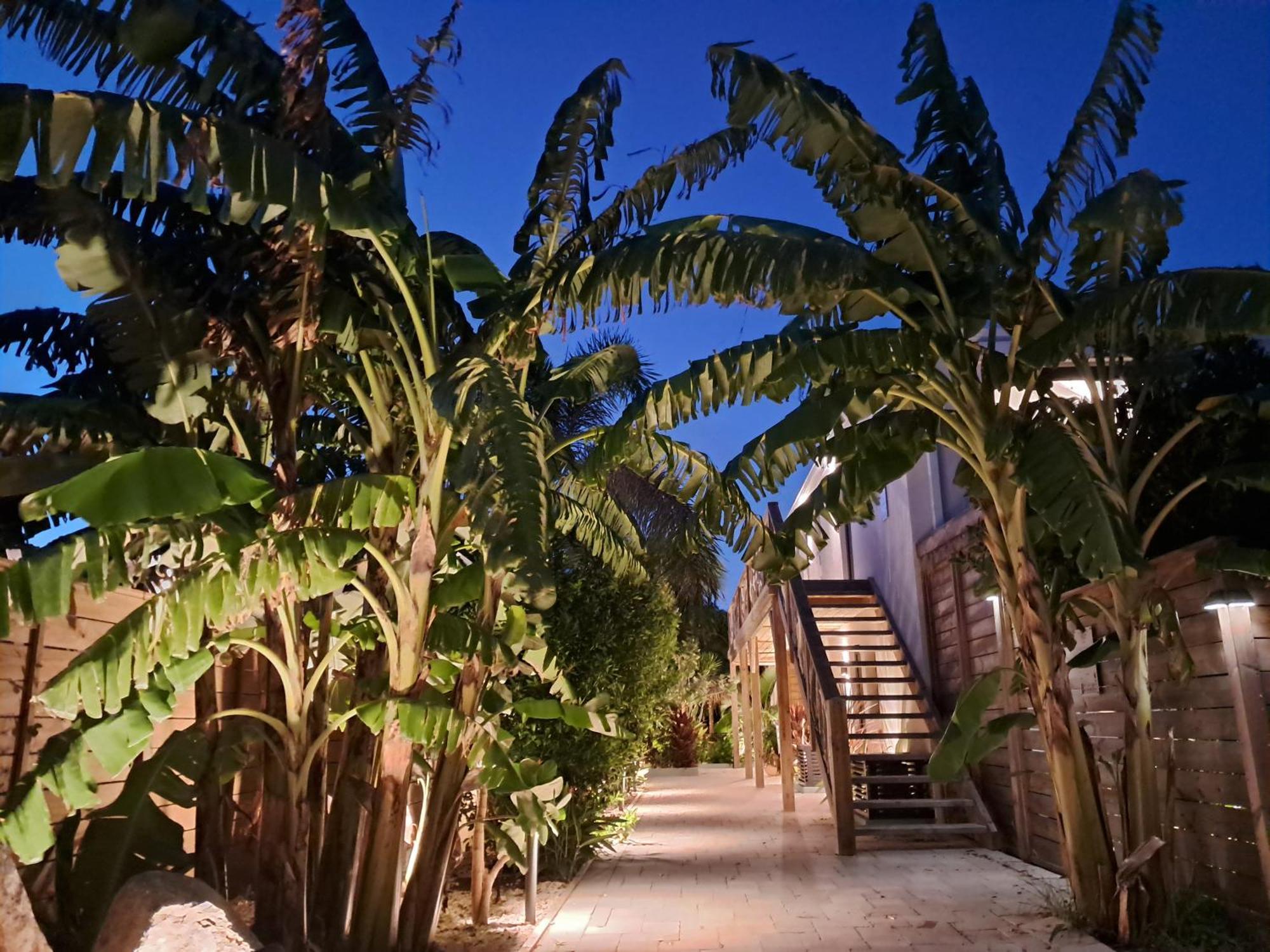 The Forest - Saint Martin 4 Etoiles كول دي ساك المظهر الخارجي الصورة